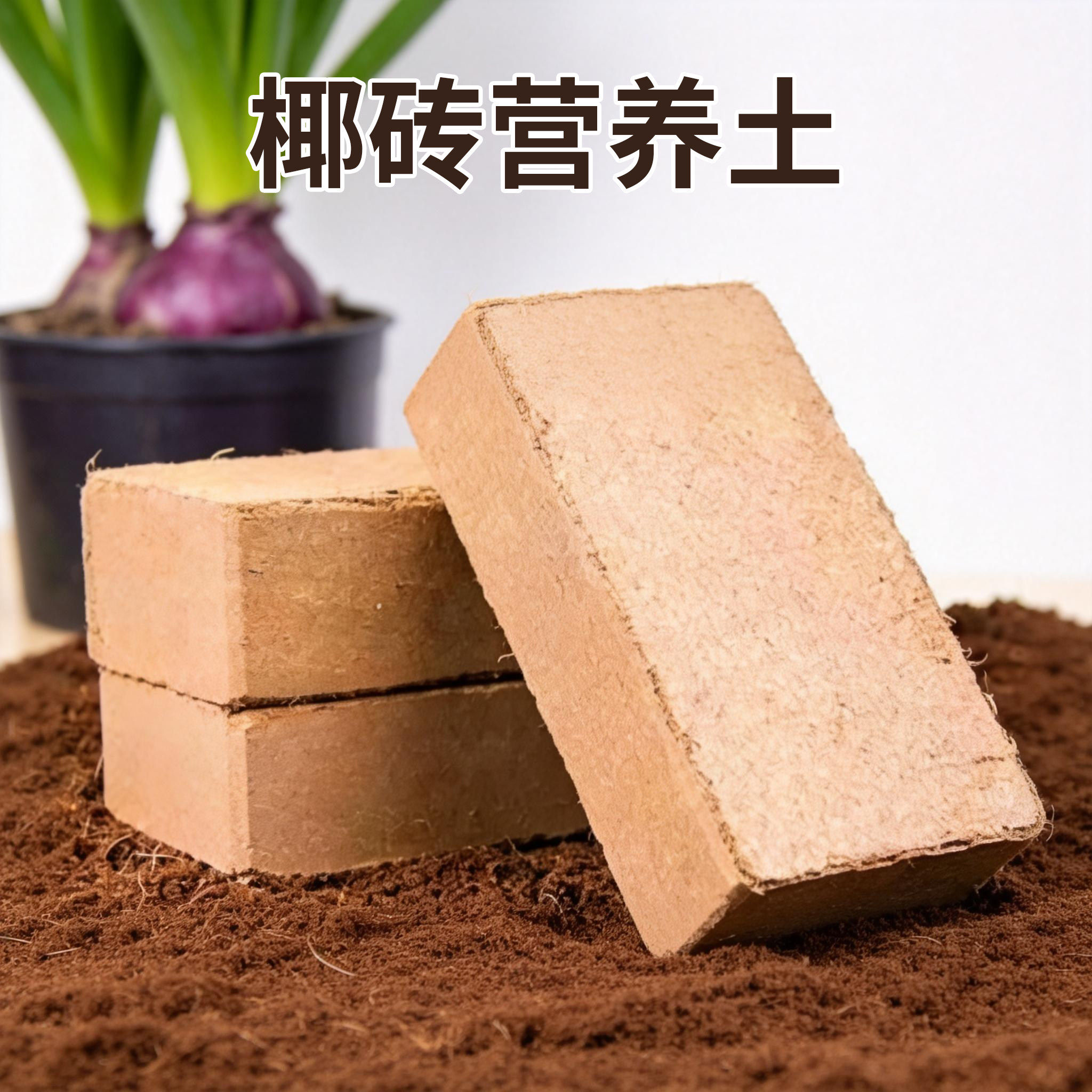 椰砖营养土椰土壤椰糠粗椰壳种花养花种菜专用种植大块耶砖