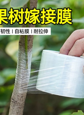 果树嫁接膜适用缠绕膜PE免拆自粘无需打结薄膜园林果树嫁接胶带
