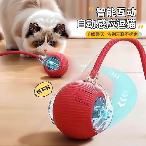 猫玩具猫咪智能逗猫球趣味自娱