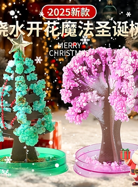 魔法圣诞树浇水会开花的纸树七彩神奇结晶种植树儿童diy手工玩具