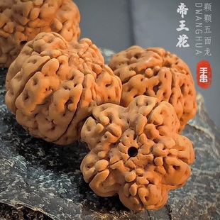【原生态纯天然】印尼帝王花小金刚菩提子花王双龙纹梅花单圈手串