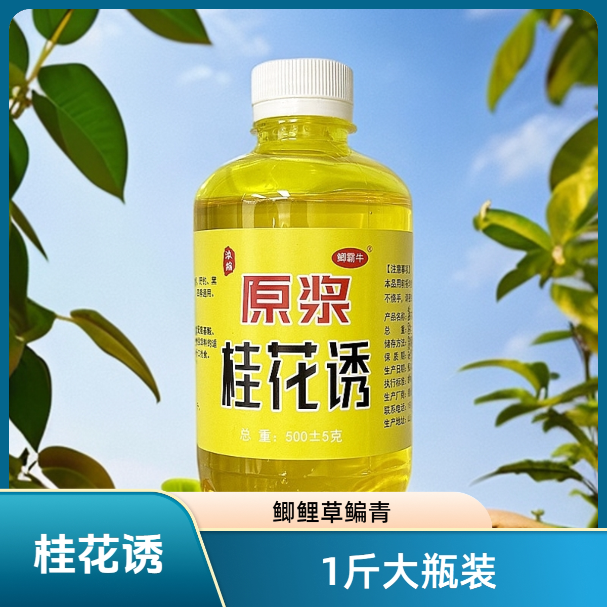 桂花诱鱼饵添加剂1斤大瓶装
