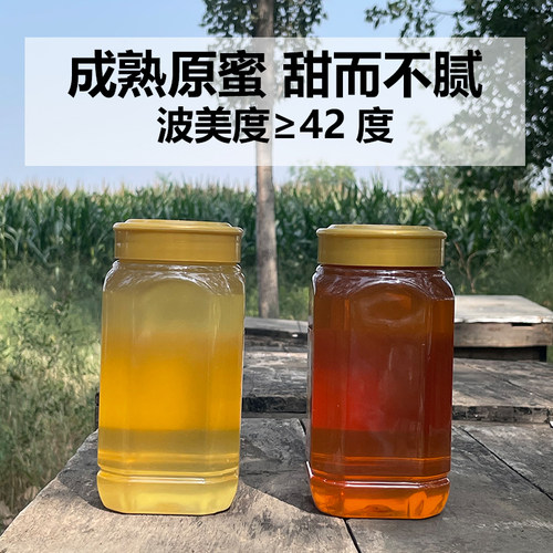 洋槐蜜太行山农家自产纯蜂蜜