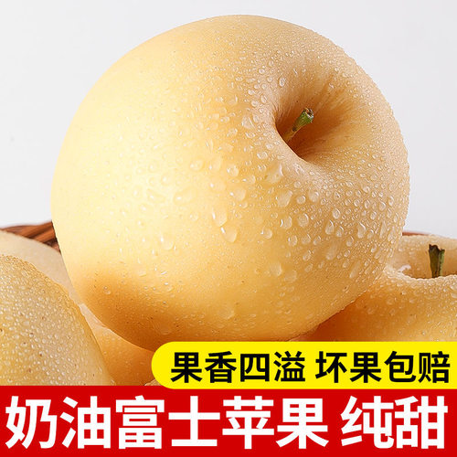 山东烟台产区苹果产地直发