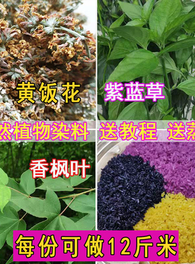 三月三清明节五色糯米饭植物染料枫香叶红蓝草黄饭花黑橙紫黄广西