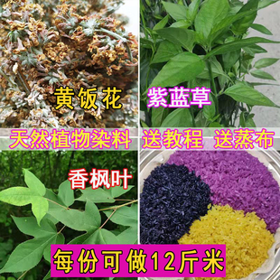 三月三清明节五色糯米饭植物染料枫香叶红蓝草黄饭花黑橙紫黄广西