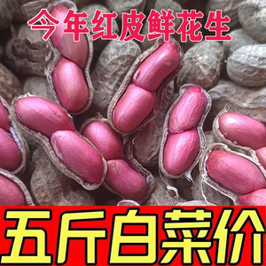 思乡味品红皮花生新鲜今年花生