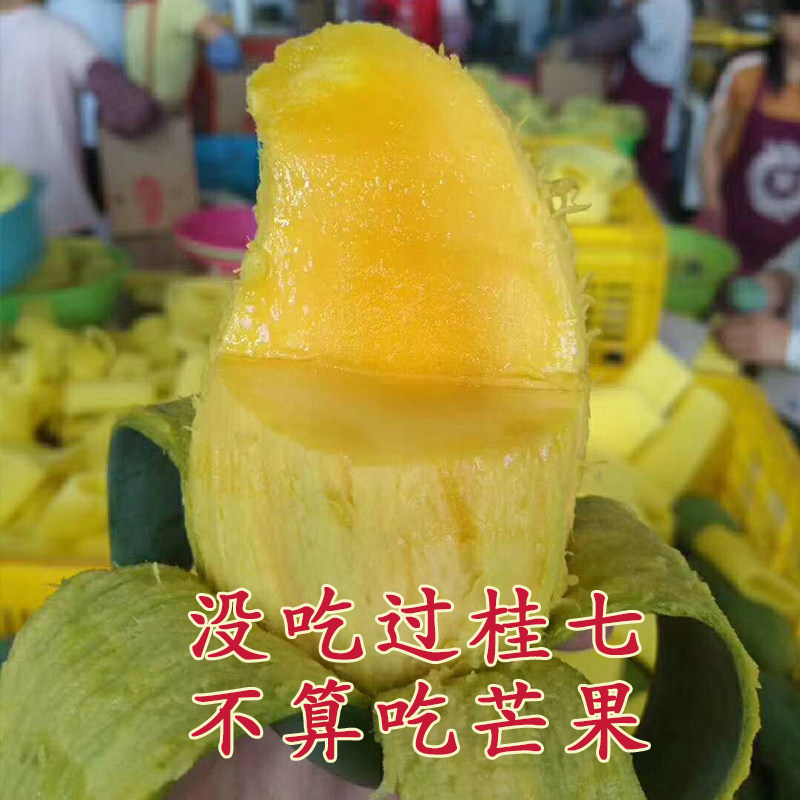 思乡味品广西百色桂七芒果