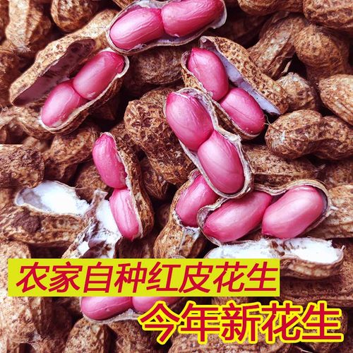 思乡味品红皮生花生农家自种