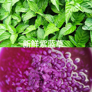 五色糯米饭草500g花紫米