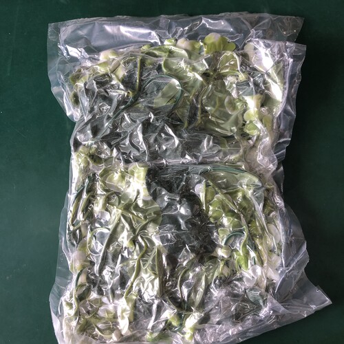 跨境仿真藤蔓桉树叶尤加利藤条 满天星金钱叶聚合果装饰。一包2个