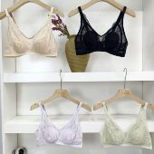 兔耳超薄蕾丝网纱25新夏款 无钢圈性感透气清凉精美女士内衣文胸