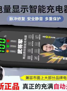 数显自动断电电动车电瓶车充电器48V60V72V20AH两轮三轮电车通用