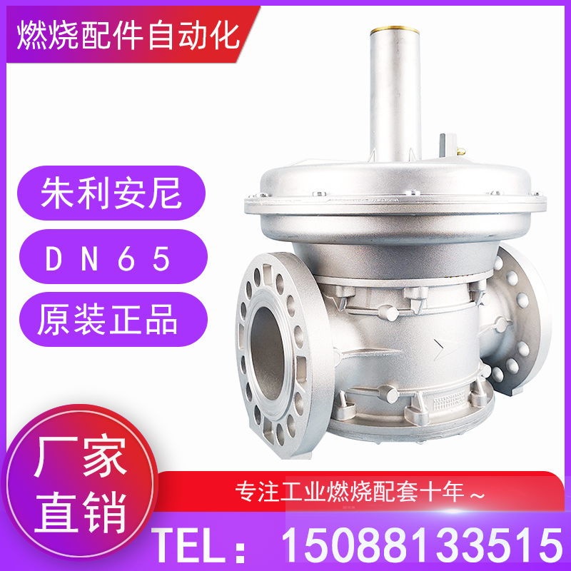 GAVR65空燃比例阀朱利安尼调节阀