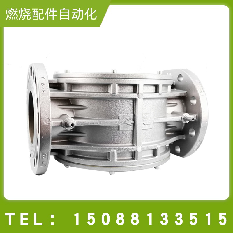 FF10DN100过滤器MADAS马达斯