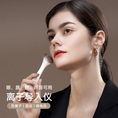 离子导入仪导出仪美容仪