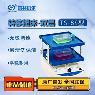 Kylin-Bell其林贝尔转移摇床TS-8S 万向TS-92 往复式脱色TSB-108