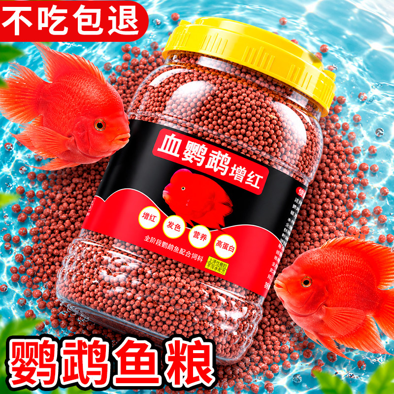 鹦鹉鱼食血鹦鹉鱼饲料发财鱼热带鱼鱼粮小颗粒红鹦鹉罗汉鱼通用