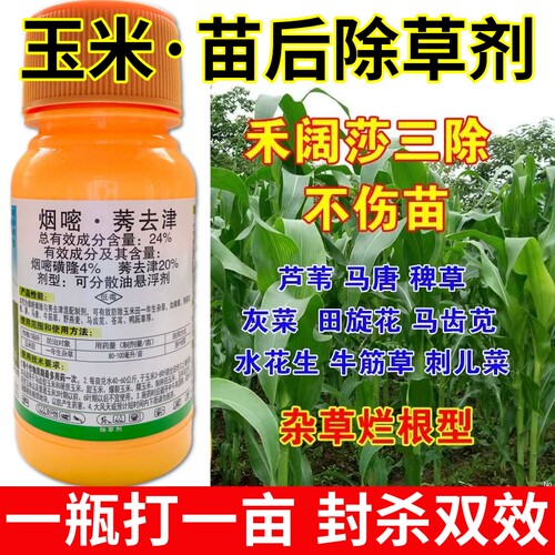 玉米田除草剂三铁叉不伤玉米