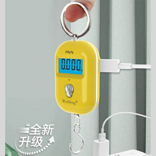 买菜秤威衡手提称充电电子秤家用