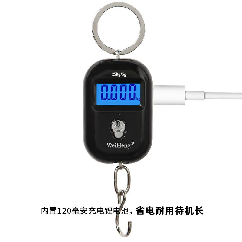 充电手提秤买菜秤威衡电子秤快递秤行李秤吊钩称家用弹簧秤钓鱼称