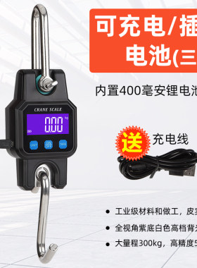 威衡起重磅秤300kg快递称