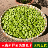 现剥云南新鲜去皮去壳青豆米胡豆米绿心兰花豆罗汉豆米鲜嫩蚕豆米