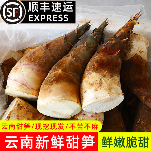 【顺丰包邮】云南新鲜甜笋现挖