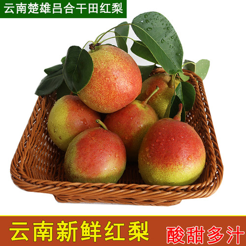 云南新鲜酸甜红梨5斤装