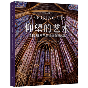 仰望的艺术 凯瑟琳·麦考马克 著 建筑艺术