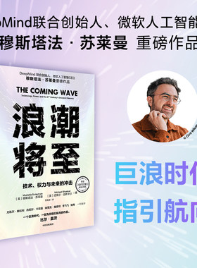 浪潮将至穆斯塔法·苏莱曼