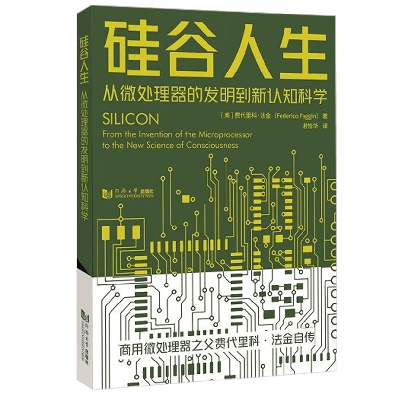 硅谷人生 从微处理器的发明到新认知科学 费代里科·法金 著 电子与通信