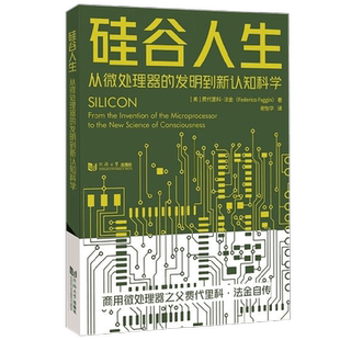 硅谷人生 从微处理器的发明到新认知科学 费代里科·法金 著 电子与通信