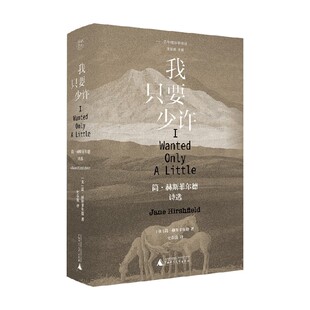 子午线诗歌译丛 我只要少许 简 赫斯菲尔德诗选 简·赫斯菲尔德 著 外国诗歌