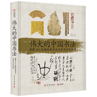 伟大的中国书法   图解300 余幅经典作品及其背后的故事 柳沣圃 著 书法