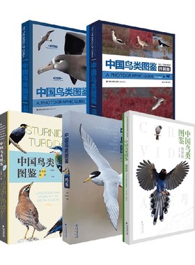 中国鸟类图鉴系列 鸦科版 鸥版 鸻鹬版 海鸟 椋鸟科 鸫科 巫嘉伟 著 科学与自然