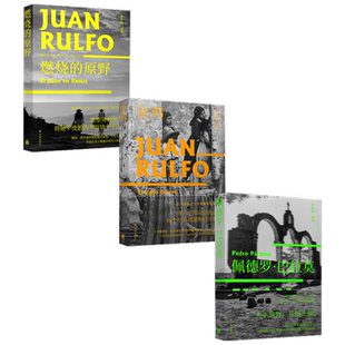鲁尔福三部曲套装3册 燃烧的原野+金鸡+佩德罗 巴拉莫 胡安 鲁尔福 著 赵振江 金灿 译 外国文学小说书籍