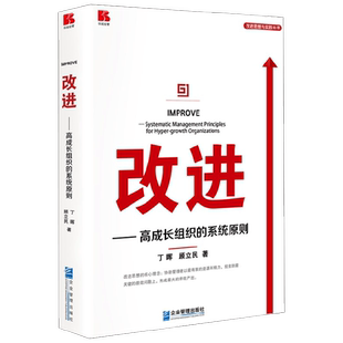 改进 高成长组织的系统原则 丁晖等 著 管理