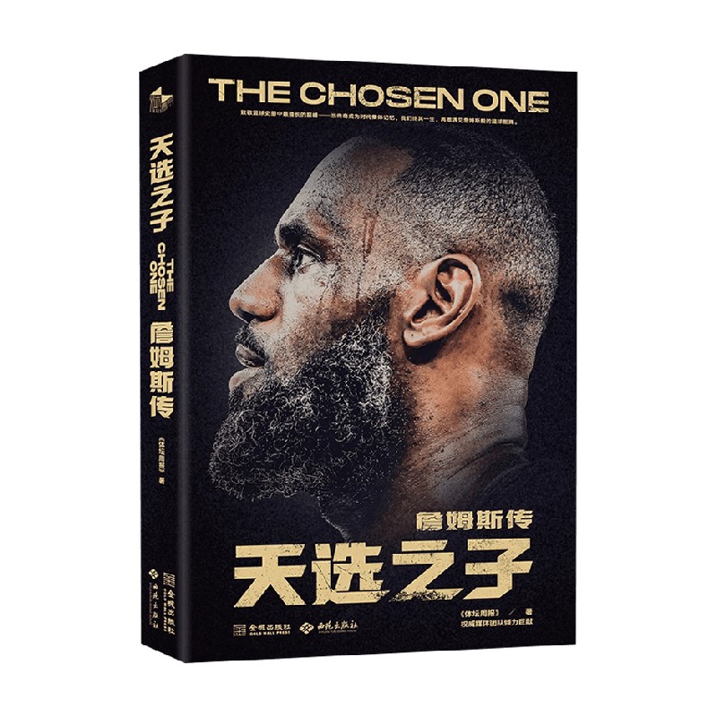 天选之子詹姆斯传传记