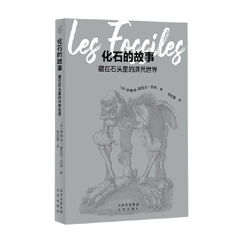 发现之旅 化石的故事 藏在石头里的洪荒世界 伊维特 该拉尔 瓦力 著 科学与自然 预售 - 实物图