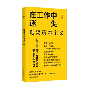 在工作中迷失 逃离资本主义 阿梅利亚·霍尔 著 社会科学