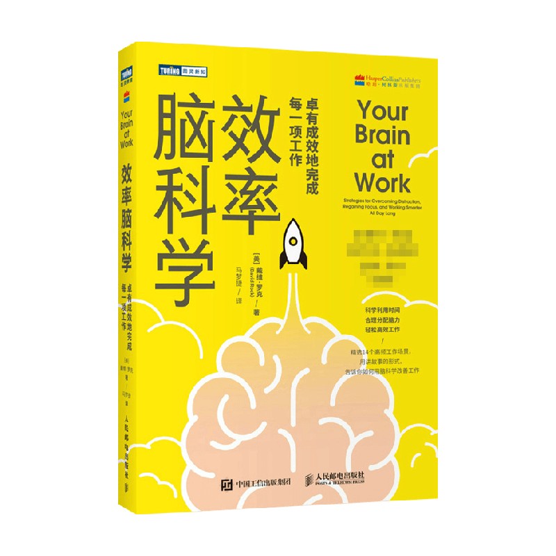 效率脑科学 戴维.罗克 著 科普