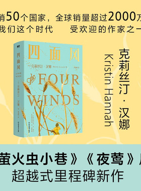 四面风 克莉丝汀.汉娜 著 不被真正爱过的她 能识别爱 珍惜爱和给予爱 小说