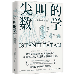 尖叫的数学 令人惊叹的数学之美 数学史杂志《数学史》前主编翁贝托·博塔兹尼带你从数学的角度看世界