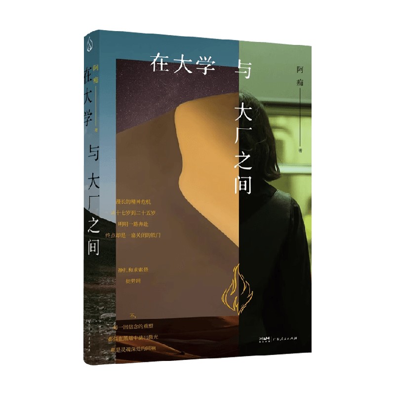 在大学与大厂之间阿痴