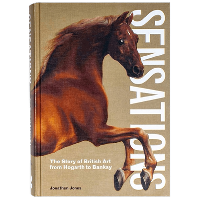 英文原版 Sensations 英国艺术的故事 从霍加斯到班克西