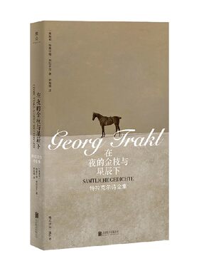 在夜的金枝与星辰下诗歌词曲