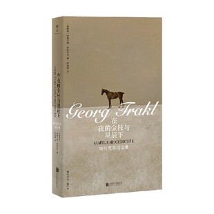 在夜的金枝与星辰下 特拉克尔诗全集 格奥尔格·特拉克尔 著 诗歌词曲