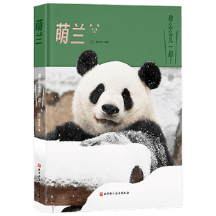 【赠蒙娜丽熊月历】萌兰 曾祥录 著 么么儿日常生活 200余张超清大图 么么儿疗愈你的不开心 文学