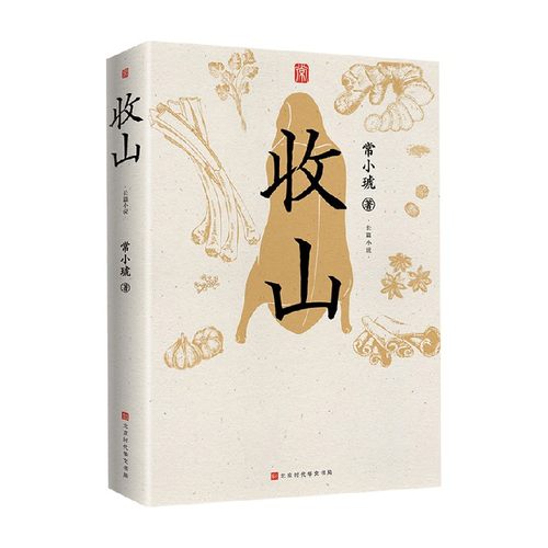 收山 常小琥 著 小说